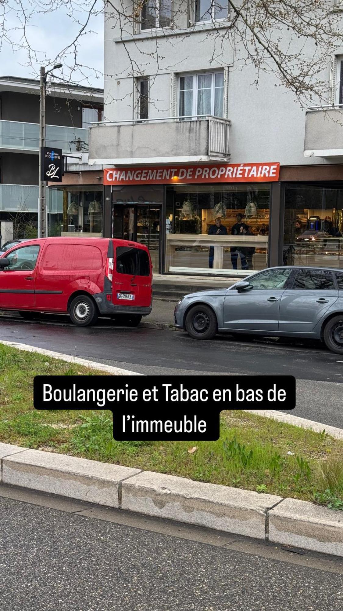 Apartment Le Beauvert Parking Gratuit Grenoble